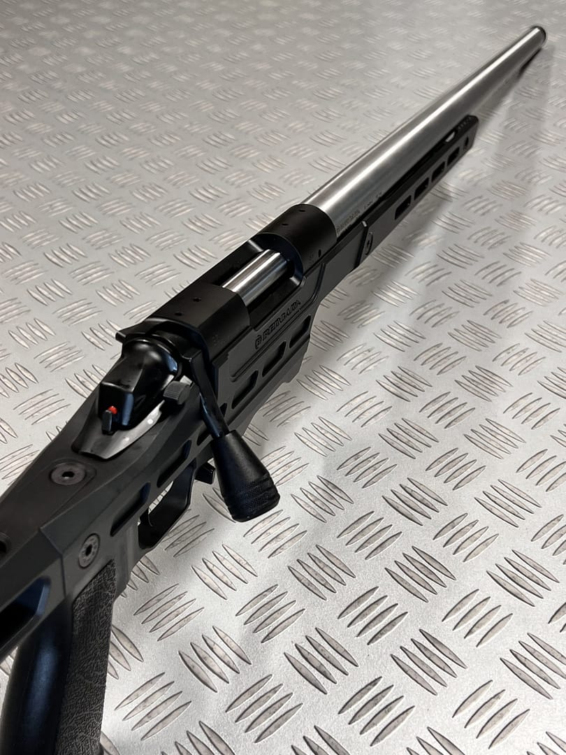 Action canonnée bergara